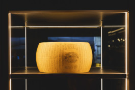 Fotografia azienda Bologna