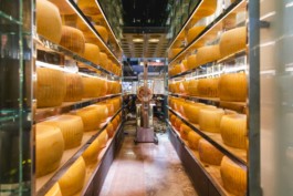 Fotografia industriale aziendale Bologna