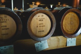 Fotografo aziendale Bologna