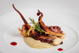 fotografo food bologna 