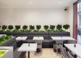 fotografo Bologna bar ristorante 