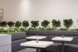 fotografo ristorante Bologna 