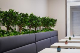 fotografo Bologna bar ristorante 