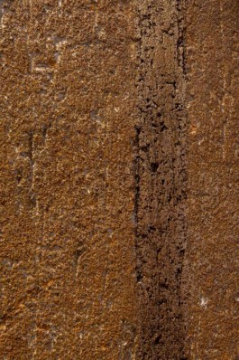 Fotografo interni Bologna Scarpa