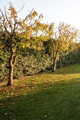 fotografo architettura garden design