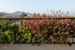 fotografo interni esterni architettura