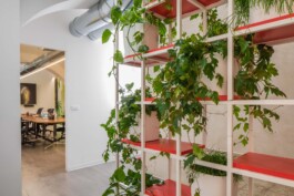 fotografo interni green