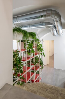 fotografo interni green 