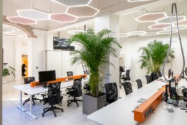 fotografo interni green