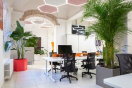 fotografo interni green