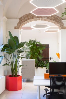 fotografo interni green 