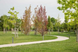 fotografo bologna villa aretusi