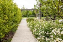 fotografo bologna villa aretusi