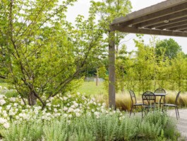 fotografo bologna villa aretusi