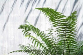 fotografo architettura Bologna 