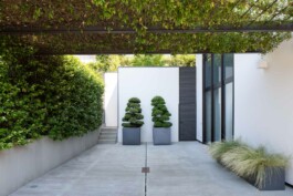 fotografo architettura Bologna 