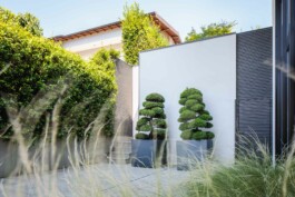 fotografo architettura Bologna 