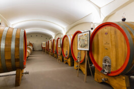 fotografo bologna mostra opere d'arte tra le botti presso Azienda Umberto Cesari 