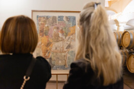 fotografo bologna esposizione collage mostra d'autore 