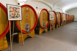 fotografo bologna opere d'arte in cantina 