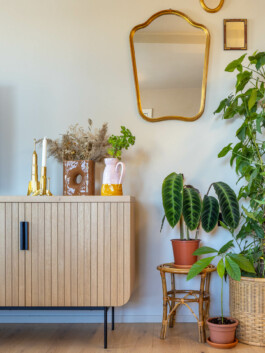 fotografia dettagli di design appartamento piante verdi 