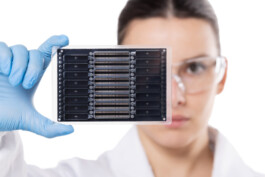 Guido De Vincentis | Photography